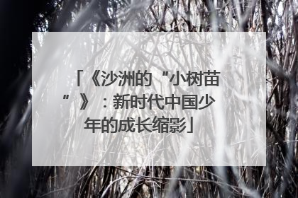 《沙洲的“小树苗”》：新时代中国少年的成长缩影