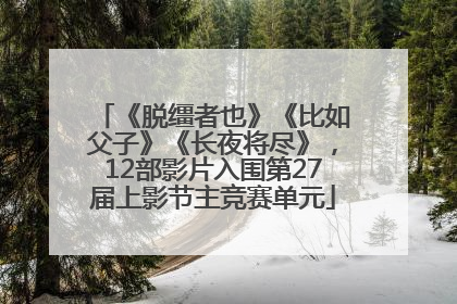 《脱缰者也》《比如父子》《长夜将尽》，12部影片入围第27届上影节主竞赛单元