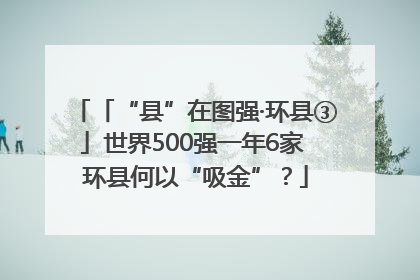 「“县”在图强·环县③」世界500强一年6家 环县何以“吸金”？