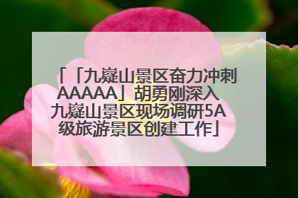 「九嶷山景区奋力冲刺AAAAA」胡勇刚深入九嶷山景区现场调研5A级旅游景区创建工作