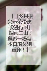 「乡村振兴示范带建设进行时」烟雨兰山：邂逅一场与本真的久别重逢！