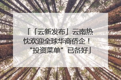 「云新发布」云南热忱欢迎全球华商侨企！“投资菜单”已备好
