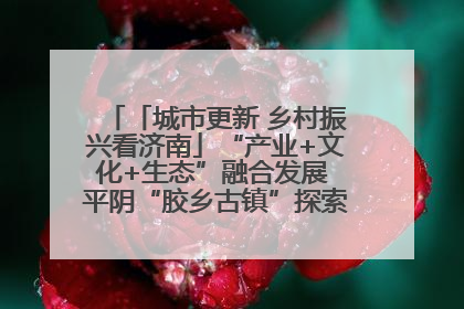 「城市更新 乡村振兴看济南」“产业+文化+生态”融合发展 平阴“胶乡古镇”探索振兴路径成效显著