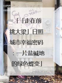 「走在前 挑大梁」日照城市幸福密码：一片盐碱地的绿色蝶变
