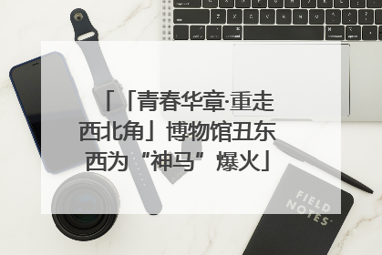 「青春华章·重走西北角」博物馆丑东西为“神马”爆火