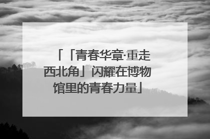 「青春华章·重走西北角」闪耀在博物馆里的青春力量