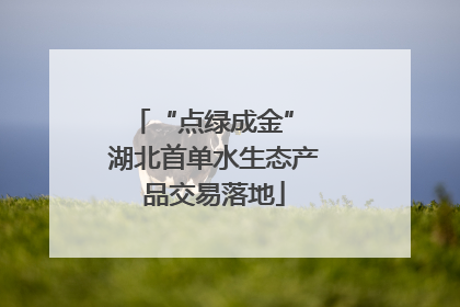 “点绿成金” 湖北首单水生态产品交易落地