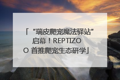 “瑞皮爬宠魔法驿站” 启幕！REPTIZOO 首推爬宠生态研学
