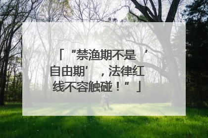 “禁渔期不是‘自由期’，法律红线不容触碰！”