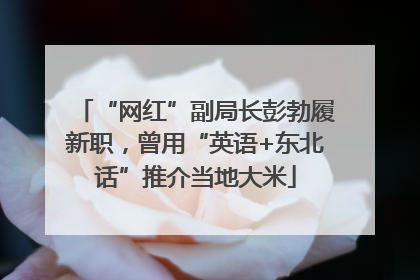 “网红”副局长彭勃履新职，曾用“英语+东北话”推介当地大米