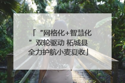 “网格化+智慧化”双轮驱动 柘城县全力护航小麦夏收