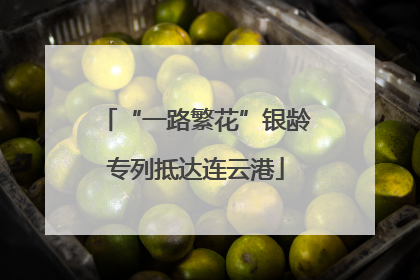 “一路繁花”银龄专列抵达连云港