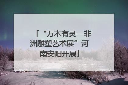 “万木有灵—非洲雕塑艺术展”河南安阳开展
