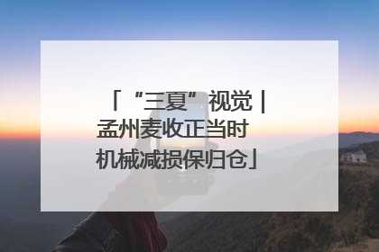 “三夏”视觉｜孟州麦收正当时 机械减损保归仓