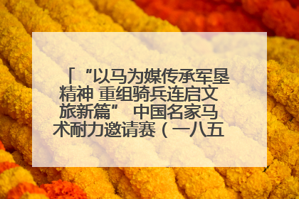 “以马为媒传承军垦精神 重组骑兵连启文旅新篇” 中国名家马术耐力邀请赛（一八五团站）暨重启骑兵连活动正式启动
