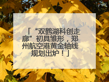 “双鹤湖科创走廊”初具雏形，郑州航空港黄金轴线规划出炉！