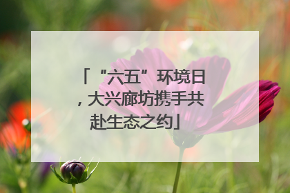 “六五”环境日，大兴廊坊携手共赴生态之约