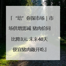 “培”你探市场｜市场供增需减 猪肉价同比降3元 未来40天便宜猪肉敞开吃