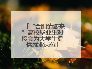 “合肥请您来”高校毕业生对接会为大学生提供就业岗位