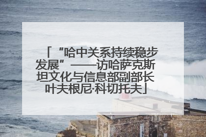 “哈中关系持续稳步发展”——访哈萨克斯坦文化与信息部副部长叶夫根尼·科切托夫