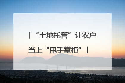 “土地托管”让农户当上“甩手掌柜”