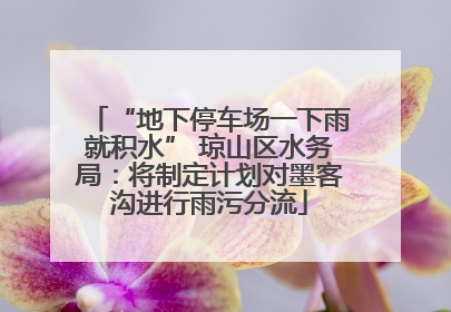 “地下停车场一下雨就积水” 琼山区水务局：将制定计划对墨客沟进行雨污分流