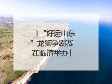 “好运山东”龙狮争霸赛在临清举办