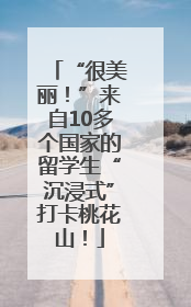 “很美丽！”来自10多个国家的留学生“沉浸式”打卡桃花山！
