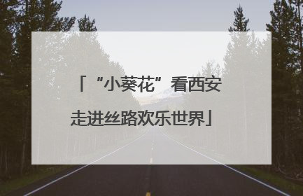 “小葵花”看西安走进丝路欢乐世界