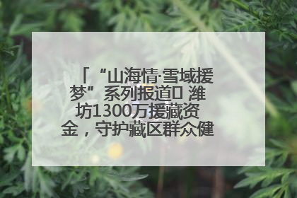 “山海情·雪域援梦”系列报道⑪ 潍坊1300万援藏资金，守护藏区群众健康“最后一公里”
