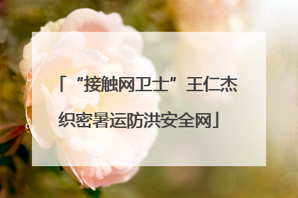 “接触网卫士”王仁杰织密暑运防洪安全网