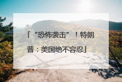 “恐怖袭击”！特朗普：美国绝不容忍