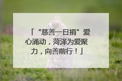 “慈善一日捐”爱心涌动，菏泽为爱聚力，向善前行！