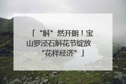 “斛”然开朗！宝山罗泾石斛花节绽放“花样经济”