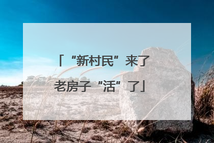 “新村民”来了 老房子“活”了