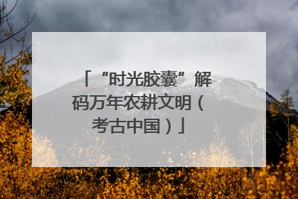 “时光胶囊”解码万年农耕文明（考古中国）