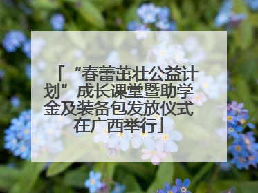 “春蕾茁壮公益计划”成长课堂暨助学金及装备包发放仪式在广西举行