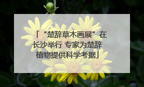 “楚辞草木画展”在长沙举行 专家为楚辞植物提供科学考据