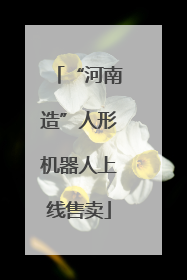 “河南造”人形机器人上线售卖