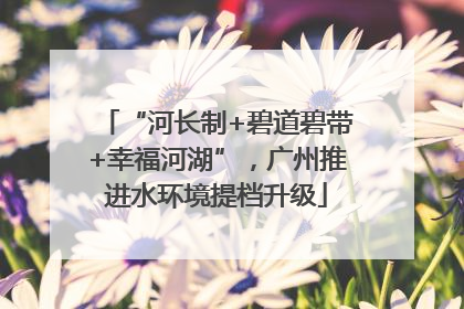 “河长制+碧道碧带+幸福河湖”，广州推进水环境提档升级