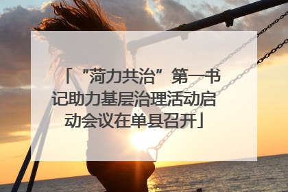 “菏力共治”第一书记助力基层治理活动启动会议在单县召开