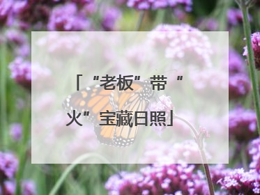 “老板”带“火”宝藏日照