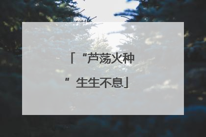 “芦荡火种”生生不息