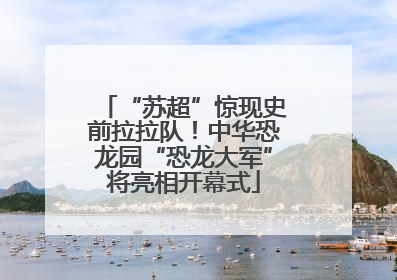 “苏超”惊现史前拉拉队！中华恐龙园“恐龙大军”将亮相开幕式