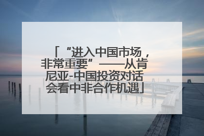 “进入中国市场，非常重要”——从肯尼亚-中国投资对话会看中非合作机遇
