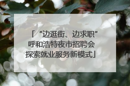 “边逛街、边求职” 呼和浩特夜市招聘会探索就业服务新模式
