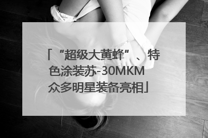 “超级大黄蜂”、特色涂装苏-30MKM 众多明星装备亮相