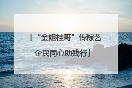 “金姐桂哥”传粽艺 企民同心助残行