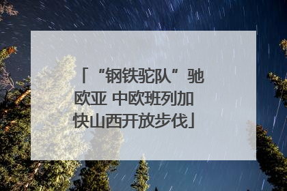 “钢铁驼队”驰欧亚 中欧班列加快山西开放步伐