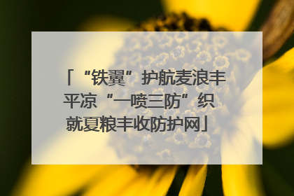 “铁翼”护航麦浪丰 平凉“一喷三防”织就夏粮丰收防护网